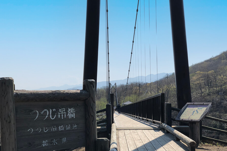 那須高原の山々をつつじ吊り橋から覗く